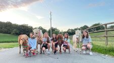 Bildmotiv: Reiten auf der CurlyRanch 2