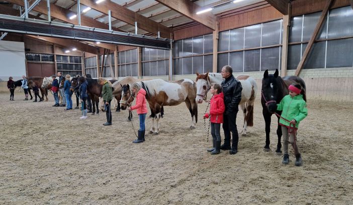 Bildmotiv: Eltern-Kind-Wochenende auf der CurlyRanch 3