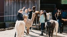 Bildmotiv: Ostern auf der CurlyRanch