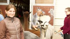 Bildmotiv: CurlyRanch im Herbst
