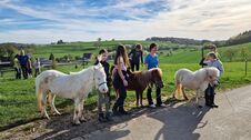 Bildmotiv: Eltern-Kind-Wochenende auf der CurlyRanch 6