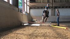 Bildmotiv: Reiten auf der CurlyRanch 5