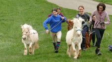 Bildmotiv: Ostern auf der CurlyRanch