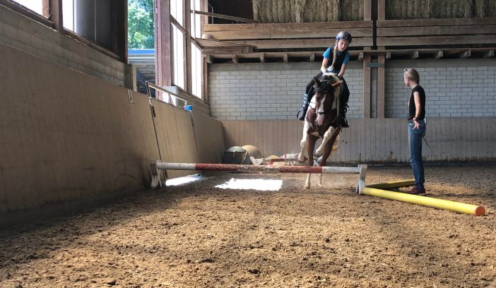 Bildmotiv: Reiten auf der CurlyRanch 4