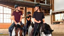 Bildmotiv: CurlyRanch im Sommer 2