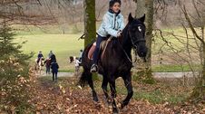 Bildmotiv: Weekend auf der CurlyRanch
