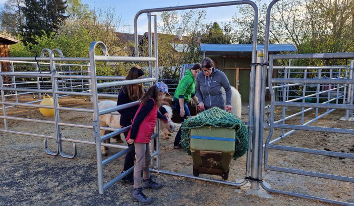 Bildmotiv: Eltern-Kind-Wochenende auf der CurlyRanch 2