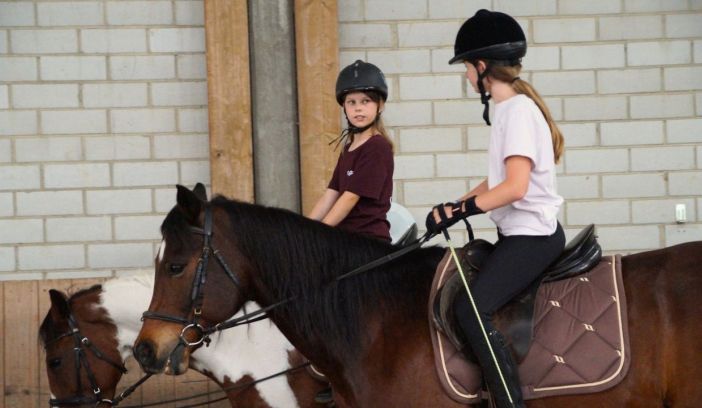 Bildmotiv: Weekend auf der CurlyRanch